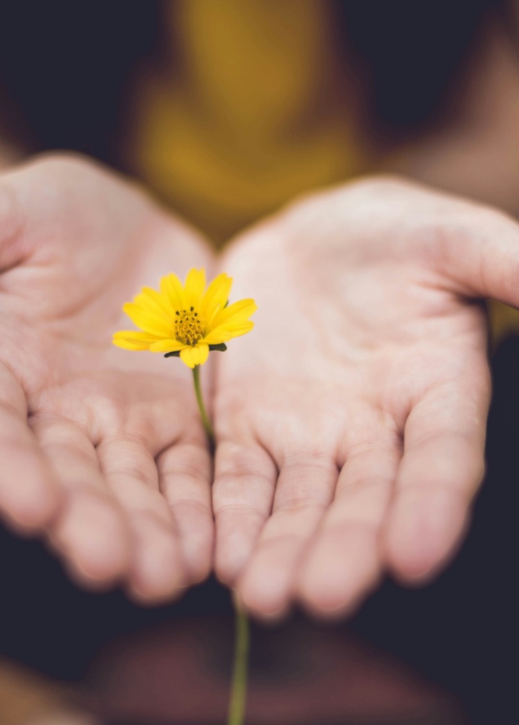 https://whiteoaksgroup.ca/wp-content/uploads/2026/08/flower-mobile-750x1048-1.jpg